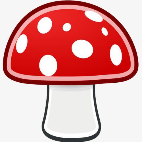蘑菇辅助最新版-蘑菇辅助下载v1.0