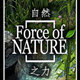 自然之力2汉化补丁最新版-自然之力2汉化补丁下载v1.0