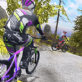 极限3D自行车游戏