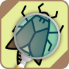 昆虫识别码app v1.3