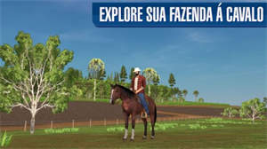 模拟巴西农业