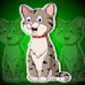 可爱的猫逃脱游戏-可爱的猫逃脱手机版下载v1.0
